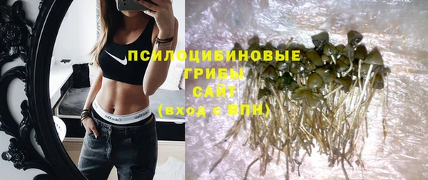 молекула духа Рославль