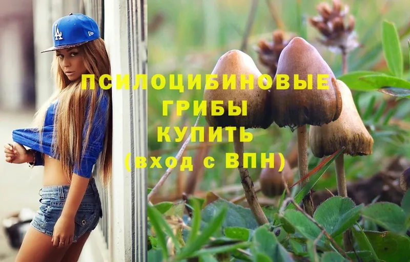 Галлюциногенные грибы Psilocybine cubensis  Баксан 