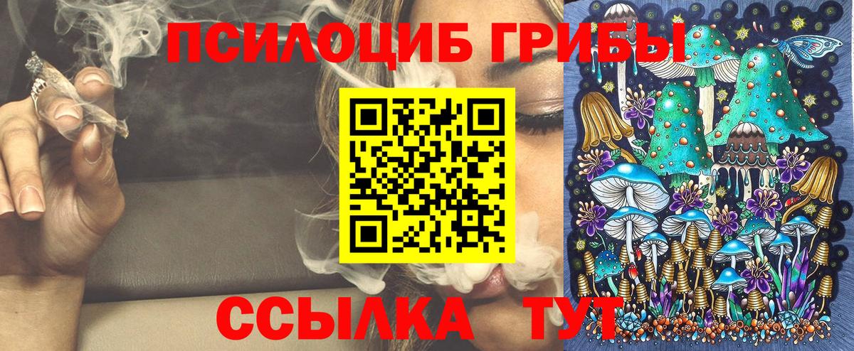 Галлюциногенные грибы Cubensis Баксан