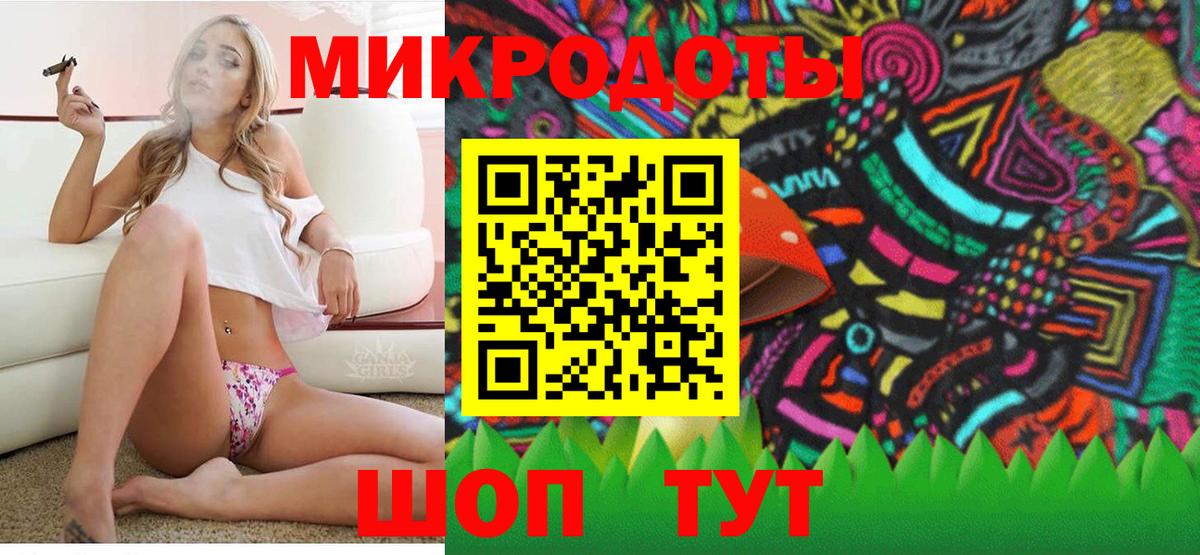 Галлюциногенные грибы мицелий  Баксан  Галлюциногенные грибы GOLDEN TEACHER 