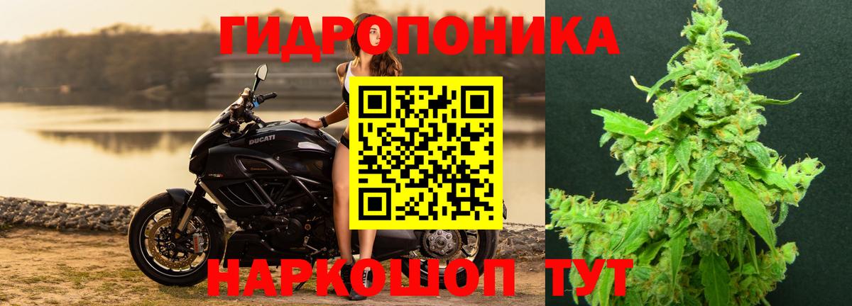 Марихуана план Баксан